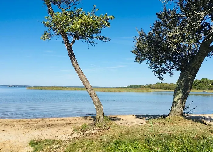 Hôtel accueillant les animaux: Maisonnette à 300 m du lac de Biscarrosse
